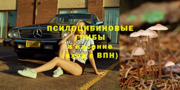 а пвп мука Богородск