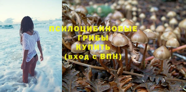 а пвп мука Богородск