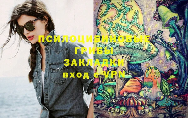стафф Богородицк